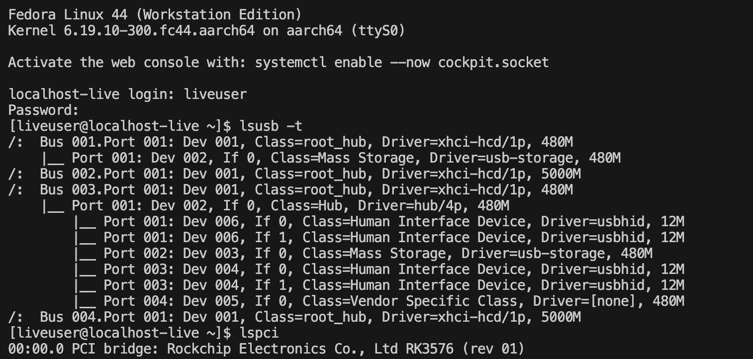 Fedora live console